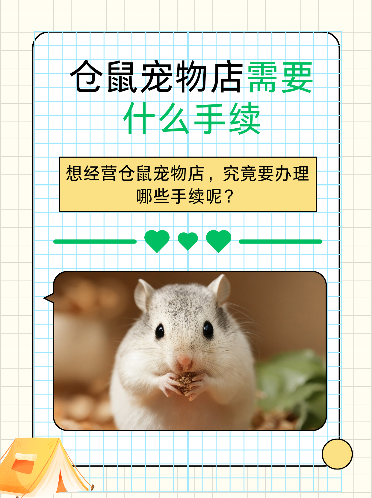 小仓鼠下载app_(仓鼠影视app下载)