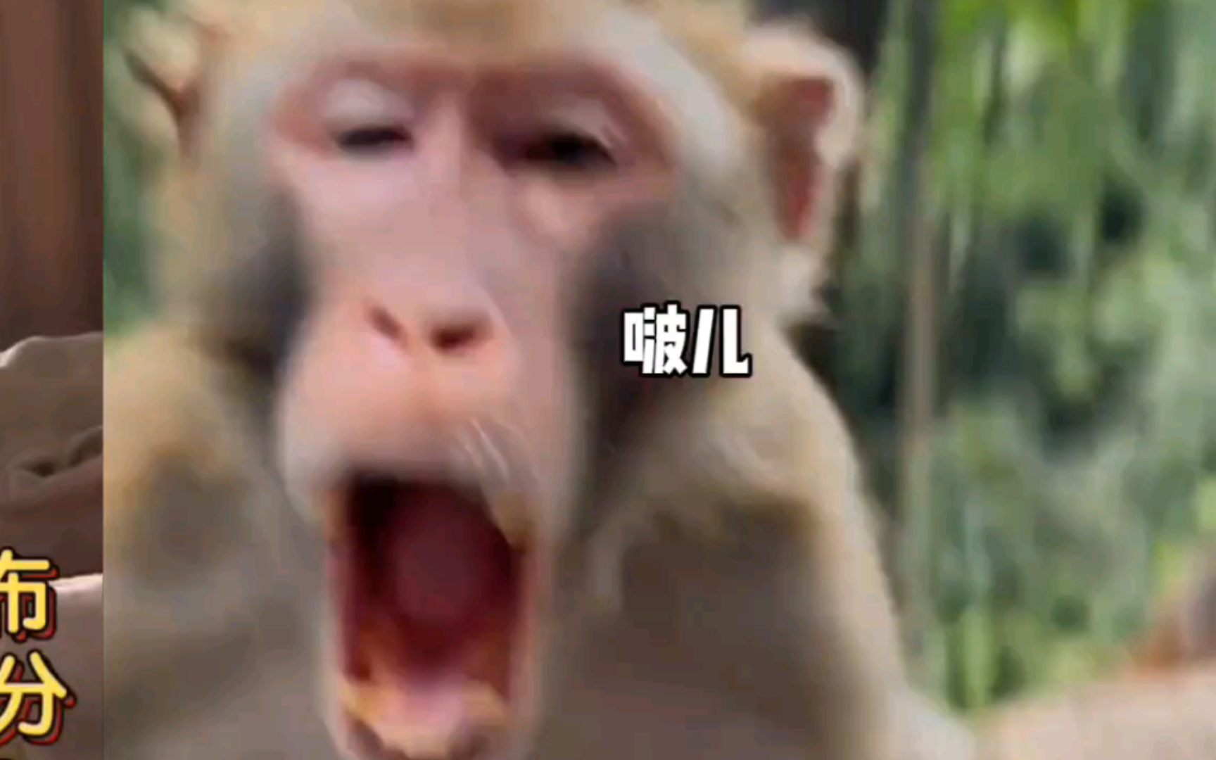 暴笑倒放视频素材高清下载-(暴笑倒放视频素材高清下载免费)
